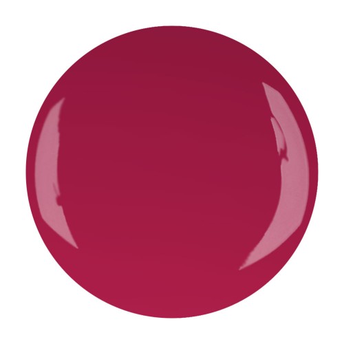 UV/LED nail polish visionary