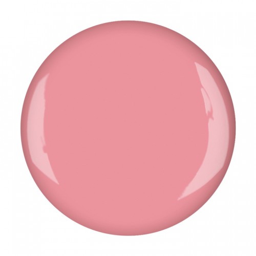 UV/LED nail polish scharis