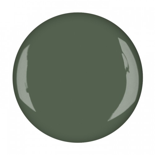 UV/LED Nail Polish olivegreen